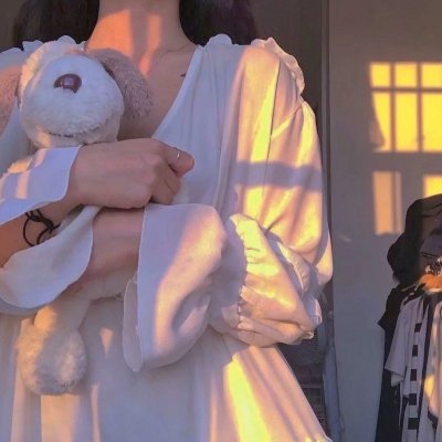 女仆日记2015